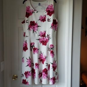 AGNES & DORA FISHER DRESS, NWOT
